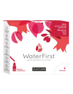 Water First Melograno-litchi-goji 12 Stick Pack