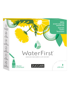 Water First Cetriolo-cedro-tarassaco 12 Stick Pack