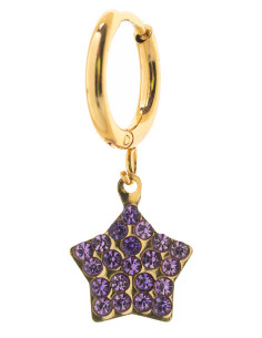 Orecchino Pendente Oro Stella Rosa