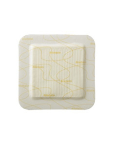 Medicazione Biatain In Schiuma Di Poliuretano Con Bordo Adesivo In Silicone 10x10 Cm 10 Pezzi